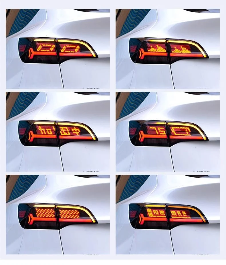 OLED Tail Lights For Tesla Model 3 Model Y 2017-2023 Customized Letterings - Image 8